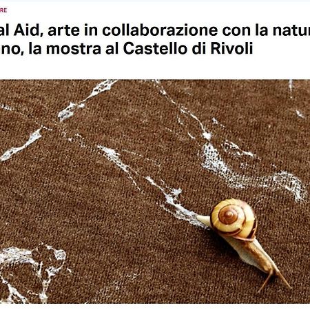 都灵La Casa Di Silvio Ai Giardini Reali公寓 外观 照片